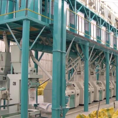 80t/D High Output Wheat Flour Mill, Super Wheat Process, Cake Flour Equipment&#160;