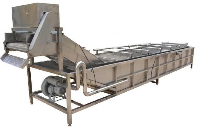 Berry Fruit Cleaning Machine Equipment Newly Created for Apple Grading Mango