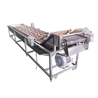 Industrial Vegetable Processing Line Washing Cleaning Machine