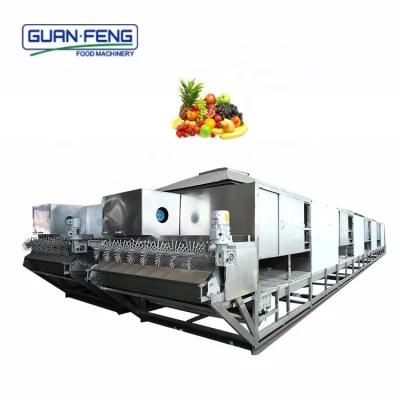 Automatic Belt Dryer Fruit Dehydrator Drying Machine