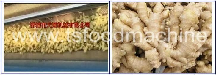 Brush Type Ginger Potato Cassava Washer and Washing Machine with Factory Price