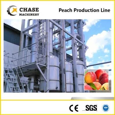 Complete Automatic Guava Sauce Machine Production Processing Line