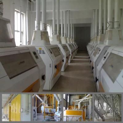 500t/24h Grain Flour Wheat Milling Plant for Food Grinding Price
