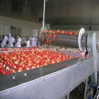 Frozen Strawberry Cube Processing Line Strawberry Dice IQF Tunnel Machine