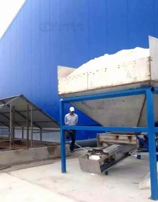 Global Shining Lake Sea Rock Iodine Iodized Iodization Iodizing Bath Salt Production Line