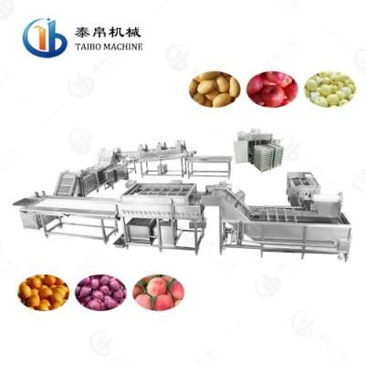 Automatic Big Batch Orange Kiwi Chips Washing Cutting Drying Line