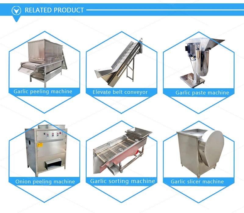 Easy to Clean Garlic Bulb Splitting Machinery Garlic Clove Separation Machine