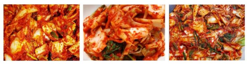 Kimchi Pickled Vegetable Mixing Mixer Seasoning Flavoring Machine