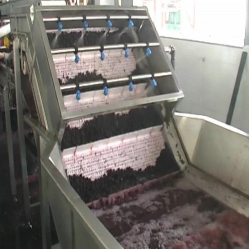 Blackberry Pulp Production Line