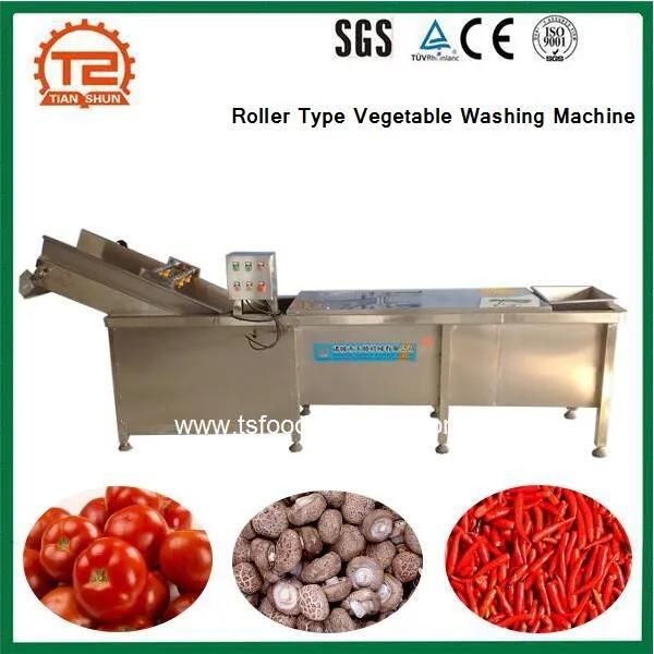 Professional Fruits and Vegetable Processing Equipment