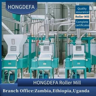 30t/24h Maize Flour Milling Machine Running in Tanzania with Price