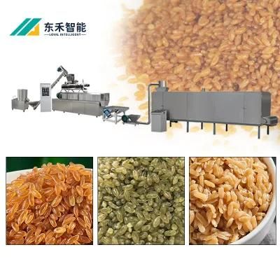 China Factory Reconstituted Artificial Rice Making Machine Artificial Rice Production Line ...