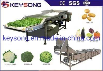 High Speed Food Processing Machinery Fruit Vegetable Washer