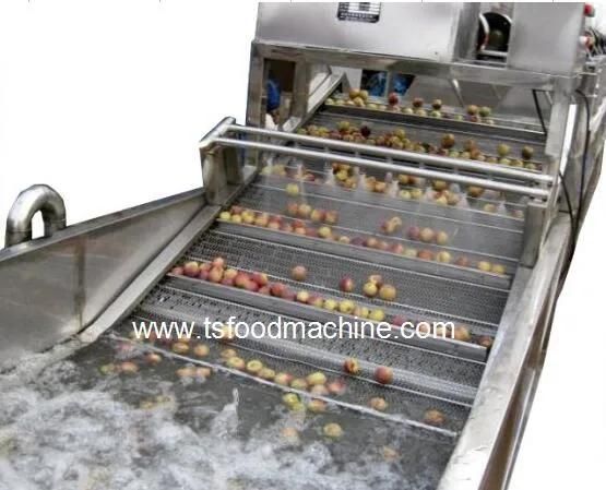 Fruit Washing Machine Industrial Stainless Steel Fruit Washer