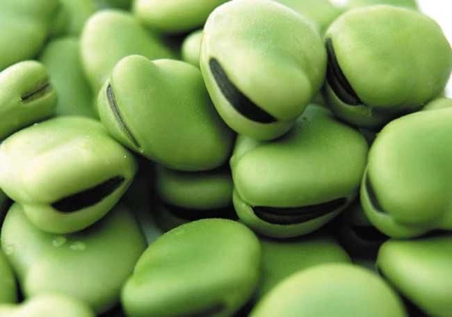 Conveyor Belt Frying Machinery Fava Beans Fries Machine