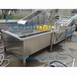 Bubble Cleaning Machine for Vegetables and Fruits/Bubble Cleaner