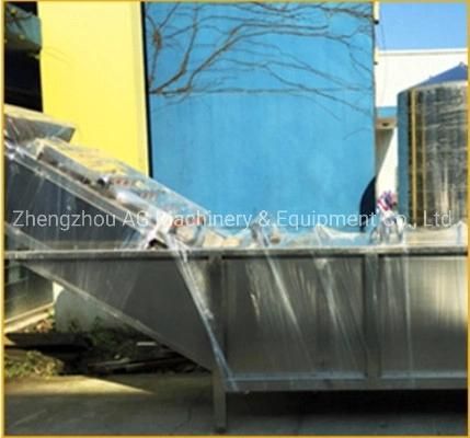 Industry Automatic Bubble Washer Fruit Vegetable Washing Machine with Bubble