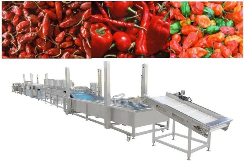Vegetable Washer Chilli Pods Cleaning Machine