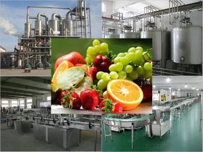 Multiple Use Mixed Fruit Juice Production Line