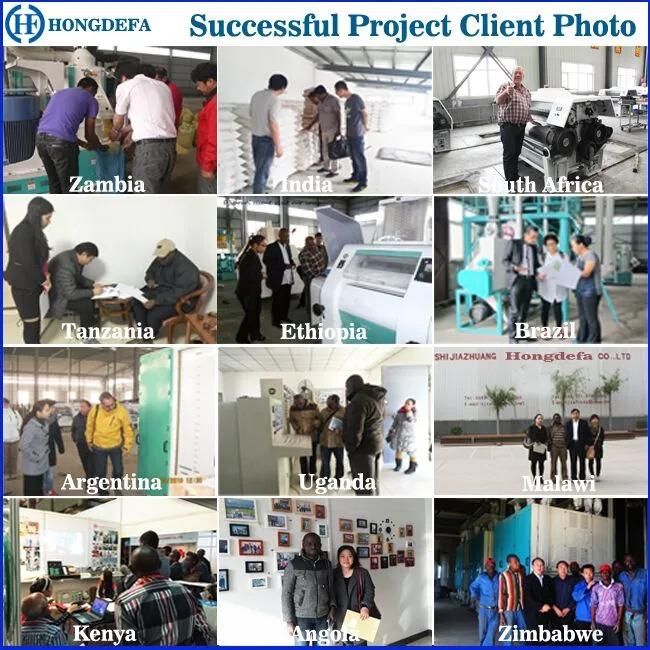 Turnkey Project 30t Per Day Maize Flour Mill Maize Milling for Maize Meal