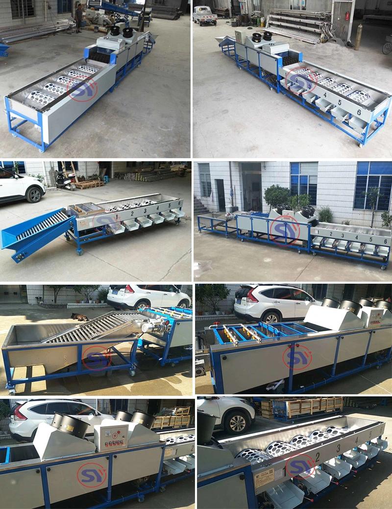 Best Price Fruit Sorting Table Machine for Grading Blueberry Strawberry
