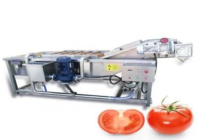OEM Cleaning Machine Vegetable Fruit Washing Machine