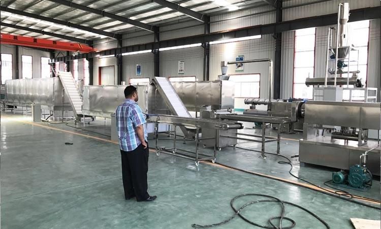 2016 Hot Sale Automatic Pasta Processing Plant