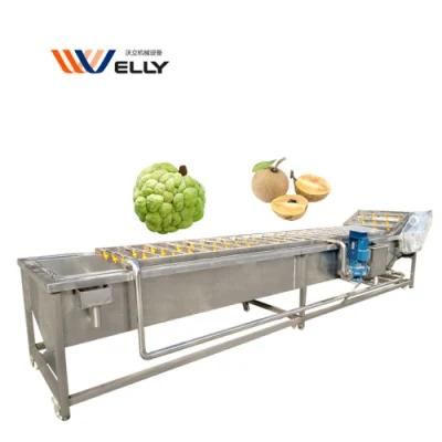 Continuous Cabbage Ginger Carrot Cherry Tomato Air Bubble Washing Machine for Factory Use