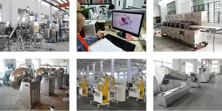 Pharmaceutical Preparation/Flour/Gum Base/Rubber Kneader