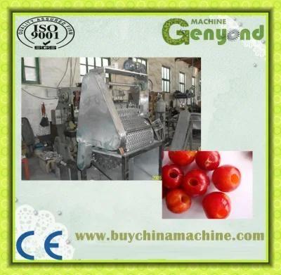 Cherry Pitting Machine for Cherry Processing