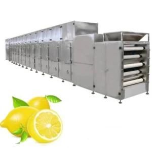 Cocoa Beans Drying Machine