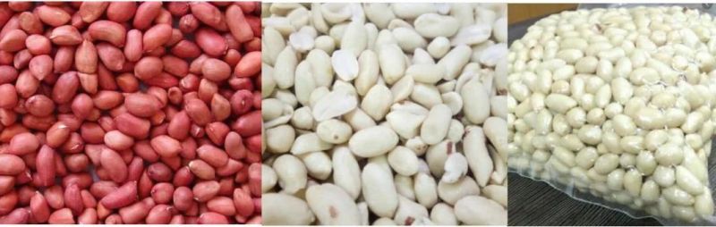 Continuous Groundnut Peanut Blanching Machine