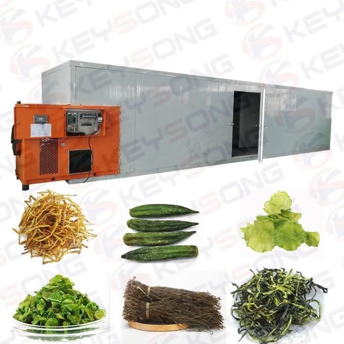 High Capacity Vegetables and Fruits Dehydrated Machine