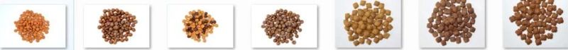 Pet Dog Cat Food Processing Making Machinery