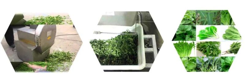 Spinach Slicer Vegetables Leaves Cutting Machine