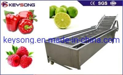 Automatic Air Bubble Washing Machinery for Food Fruit and Vegetable