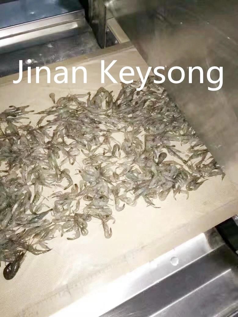 Jinan Keysong Good Quality New Designed Snack Dryer