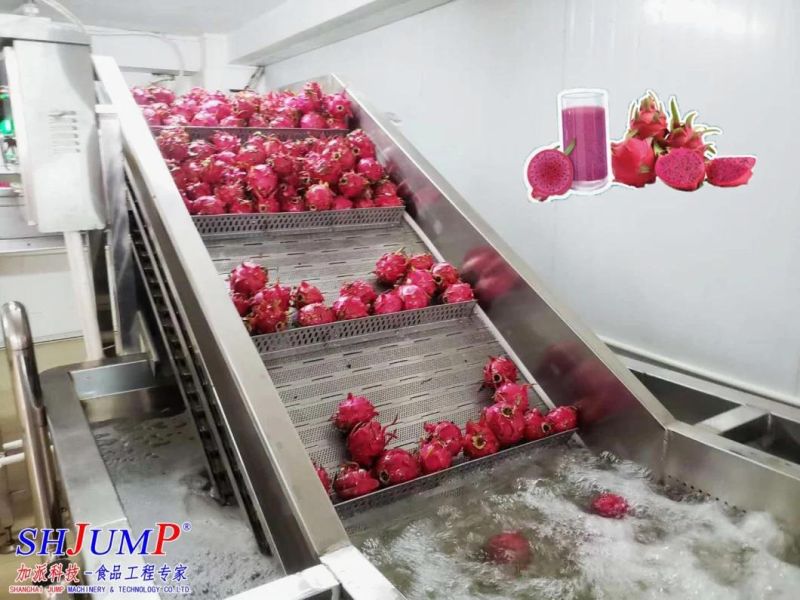Automatic Dragon Fruit Pulp/Fruit Puree Production Machinery/Processing Plant