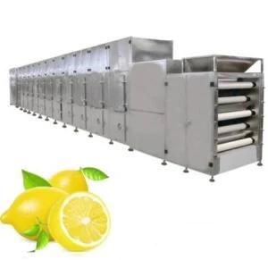 Industrial Food Conveyor Mesh Belt Dryer Drying Machine