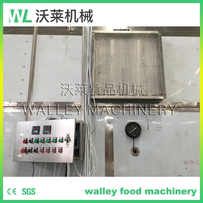 China Fruit Mango Grape Banana Room Dryer Machine