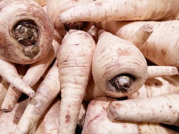 Vegetable Brush Washer Machines Parsnip Cleaning and Washing Machine