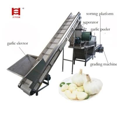 Non-Destructive Peeling Production Line for Garlic Processing