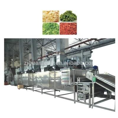 Commercial Mango Dryer Fruits Dehydrator Belt Drying Equipment