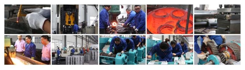 Big Screw Oil Plant 20tpd-50tpd Oil Processing Line for Sunflower Peanut