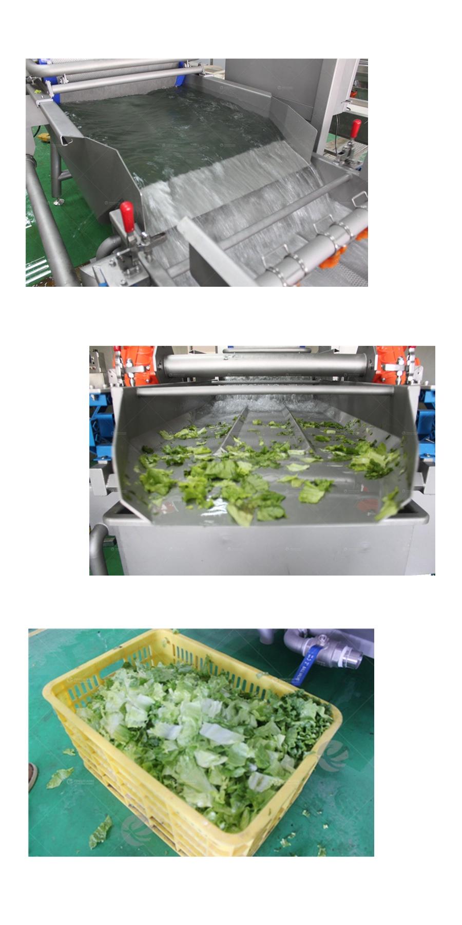 Xwa-1300 Vortex Type Vegetable Washing Machine Vegetable Washer Processor