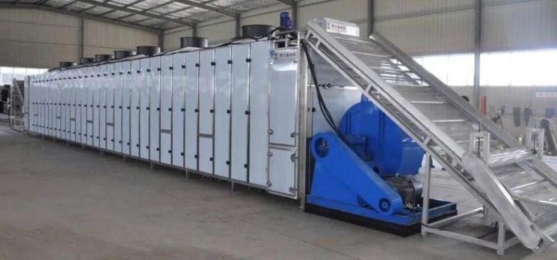 Automatic Customized Fruit Vegetable Ginger Garlic Onion Slice Drying Line