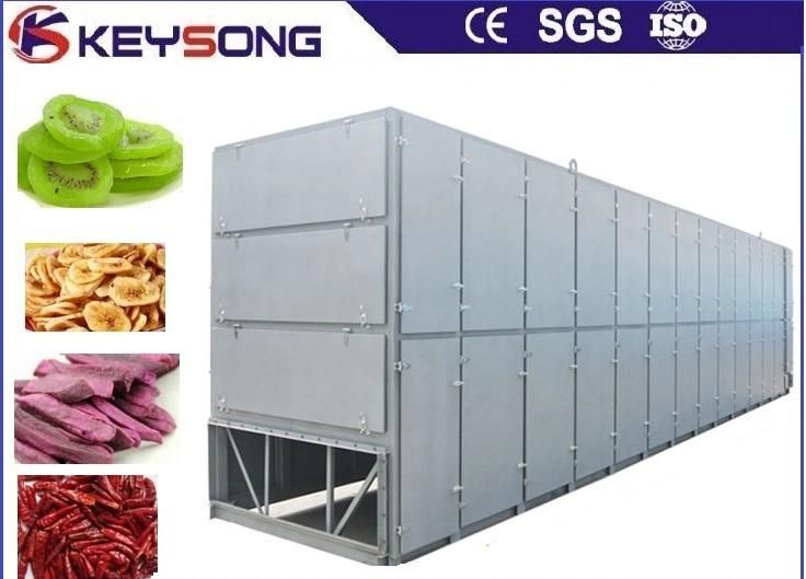 Garlic Fruit Vegetable Processing Dehydrated Dryer Machine
