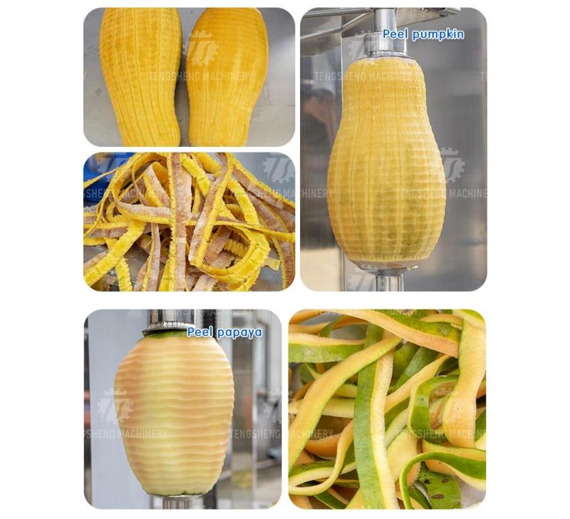 Pineapple Squash Pumpkin Watermelon Papaya Peeler Price Food Processor Commercial Industrial Automatic Peeling Machine Fruit Processing Equipment (TS-P100)