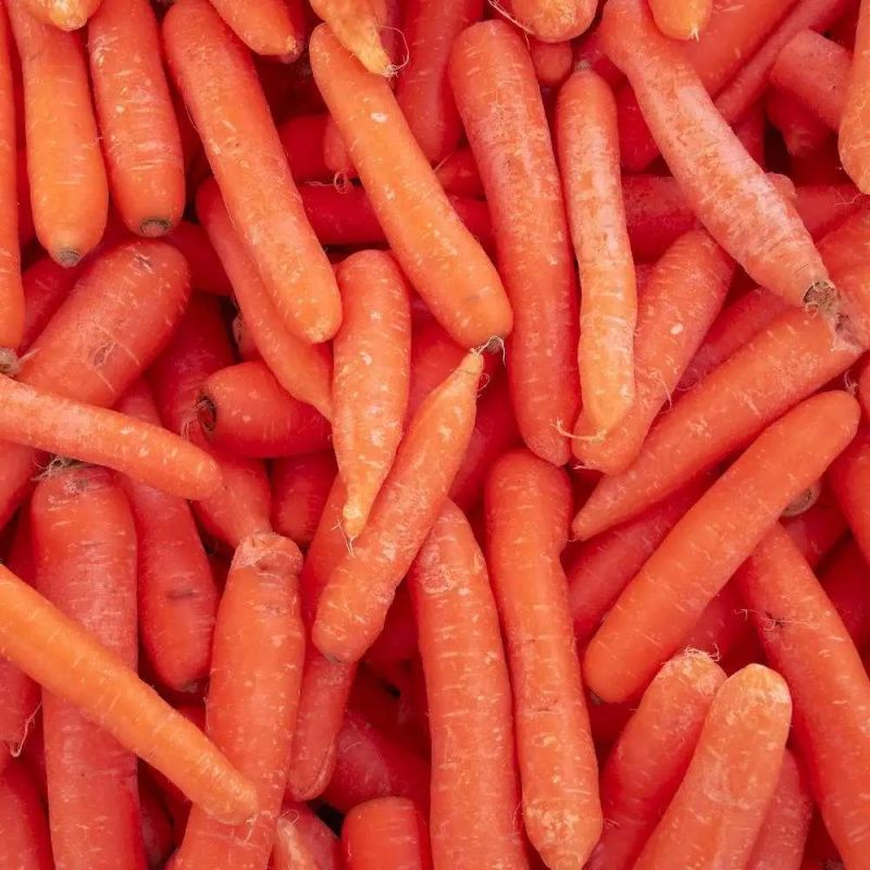 Peeling Washer for Root Vegetables Carrots Cleaning Machine
