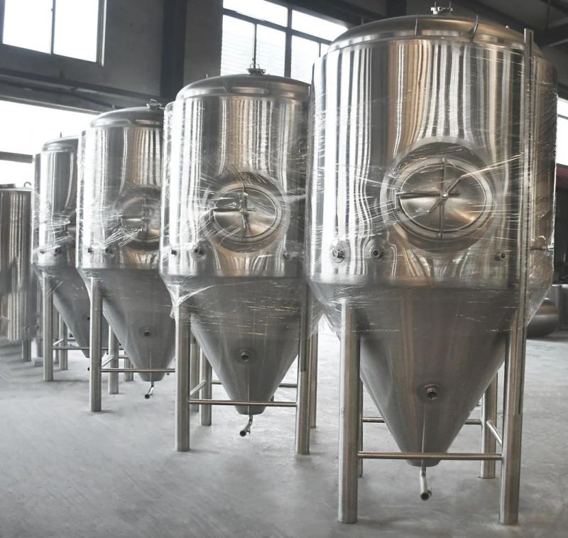 High Quality SUS304 500L Beer Fermenter Tank for Brewing Equipment